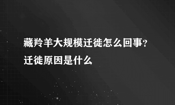 藏羚羊大规模迁徙怎么回事？迁徙原因是什么