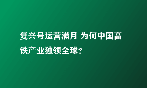 复兴号运营满月 为何中国高铁产业独领全球？