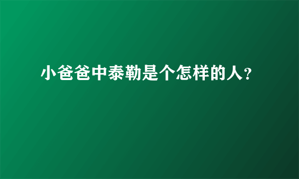 小爸爸中泰勒是个怎样的人？