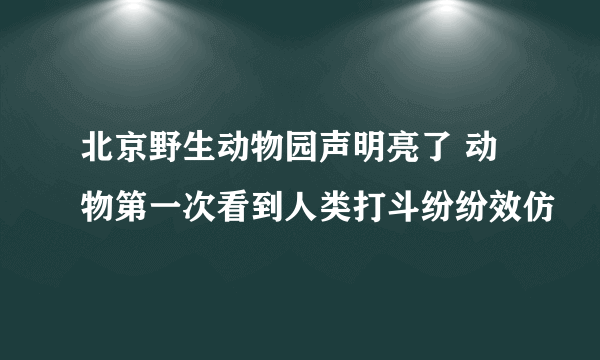 北京野生动物园声明亮了 动物第一次看到人类打斗纷纷效仿