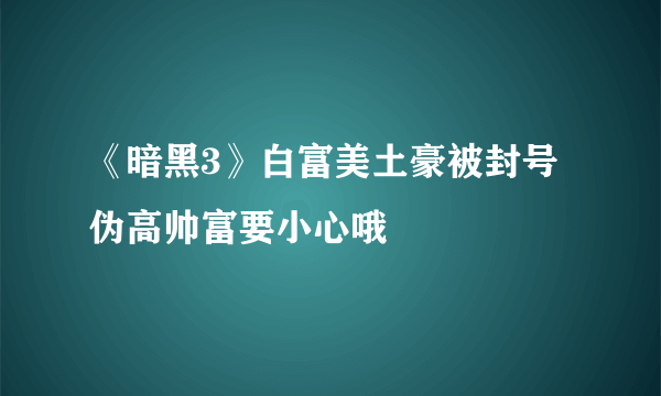 《暗黑3》白富美土豪被封号 伪高帅富要小心哦