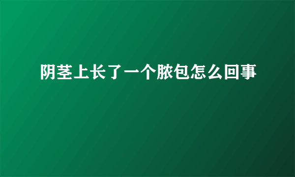 阴茎上长了一个脓包怎么回事