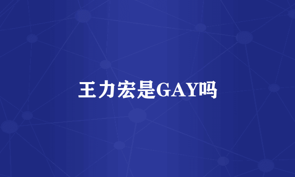 王力宏是GAY吗