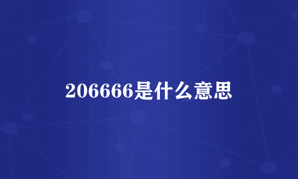 206666是什么意思