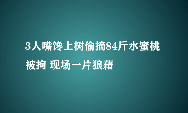 3人嘴馋上树偷摘84斤水蜜桃被拘 现场一片狼藉