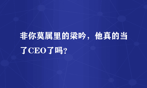 非你莫属里的梁吟，他真的当了CEO了吗？