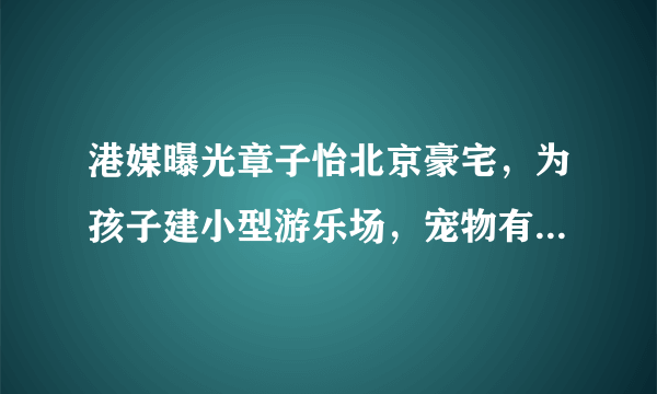 港媒曝光章子怡北京豪宅，为孩子建小型游乐场，宠物有专门卧室，羡慕吗？