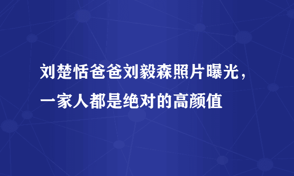 刘楚恬爸爸刘毅森照片曝光，一家人都是绝对的高颜值 