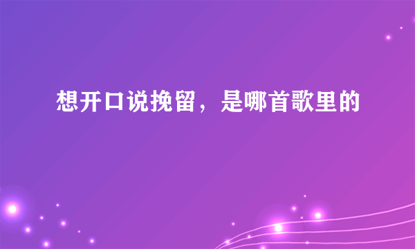 想开口说挽留，是哪首歌里的