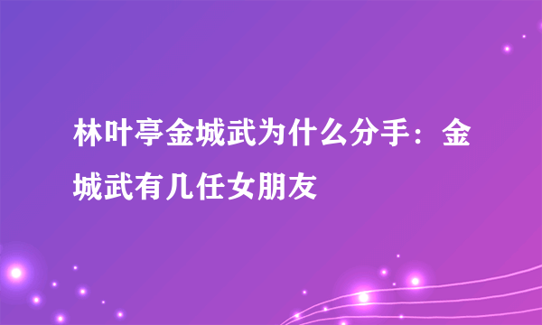 林叶亭金城武为什么分手：金城武有几任女朋友