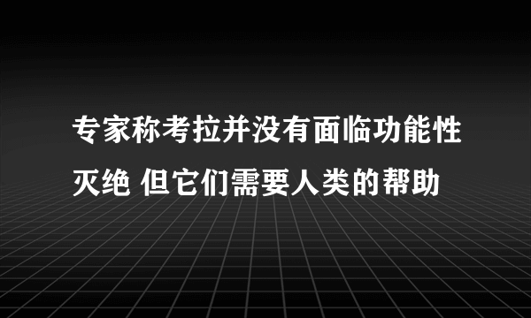 专家称考拉并没有面临功能性灭绝 但它们需要人类的帮助