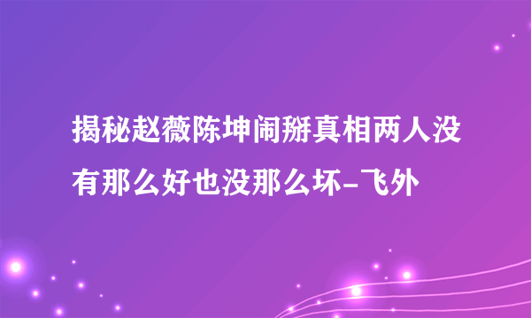 揭秘赵薇陈坤闹掰真相两人没有那么好也没那么坏-飞外