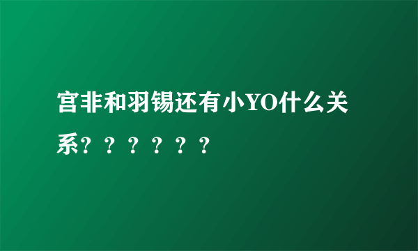 宫非和羽锡还有小YO什么关系？？？？？？