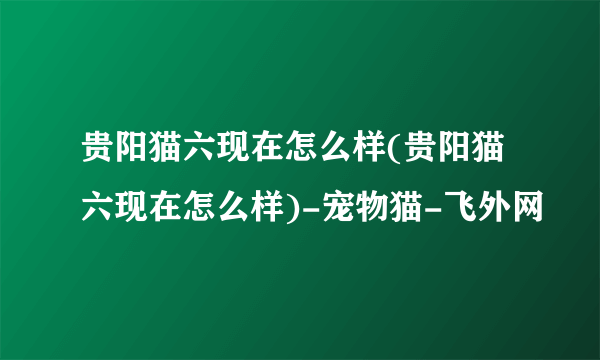 贵阳猫六现在怎么样(贵阳猫六现在怎么样)-宠物猫-飞外网