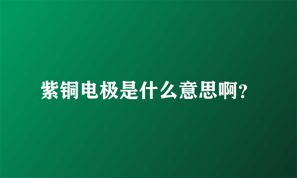 紫铜电极是什么意思啊？