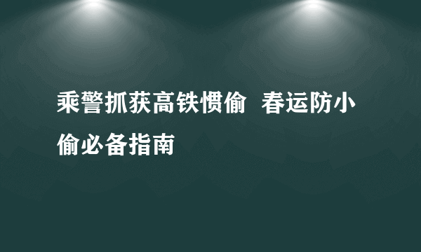 乘警抓获高铁惯偷  春运防小偷必备指南