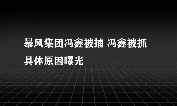 暴风集团冯鑫被捕 冯鑫被抓具体原因曝光