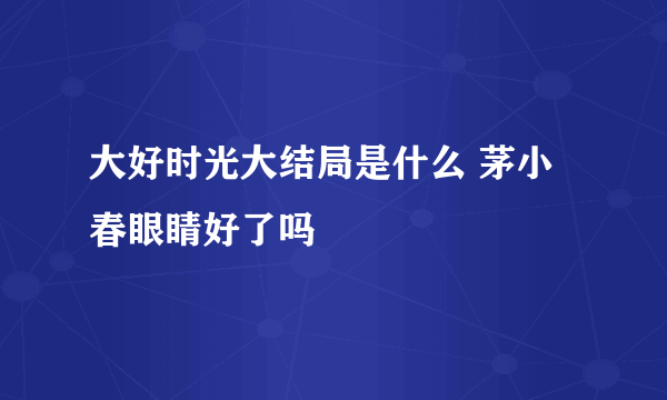 大好时光大结局是什么 茅小春眼睛好了吗