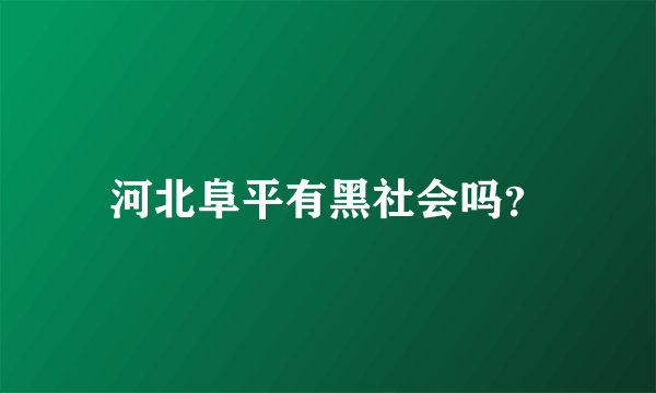 河北阜平有黑社会吗？