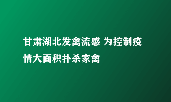 甘肃湖北发禽流感 为控制疫情大面积扑杀家禽