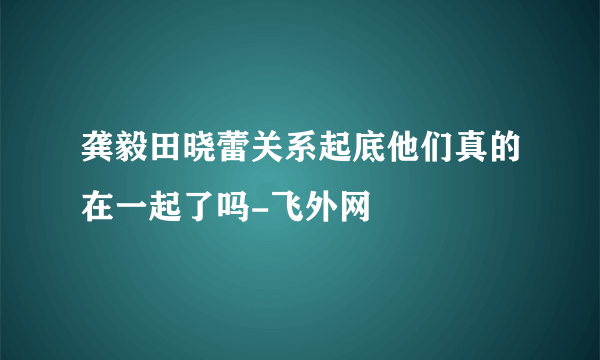 龚毅田晓蕾关系起底他们真的在一起了吗-飞外网