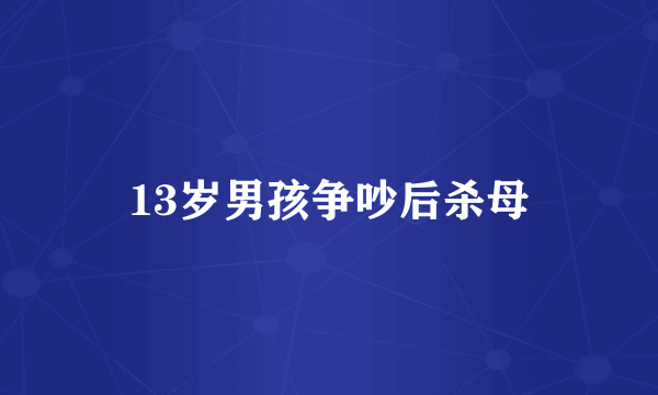 13岁男孩争吵后杀母