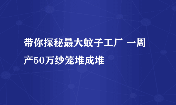 带你探秘最大蚊子工厂 一周产50万纱笼堆成堆