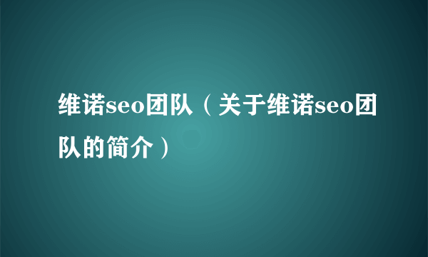 维诺seo团队（关于维诺seo团队的简介）