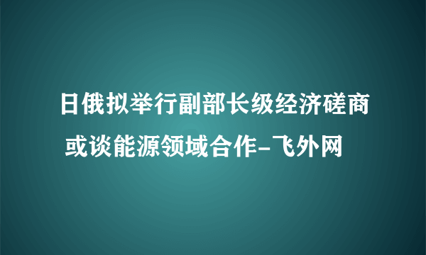 日俄拟举行副部长级经济磋商 或谈能源领域合作-飞外网