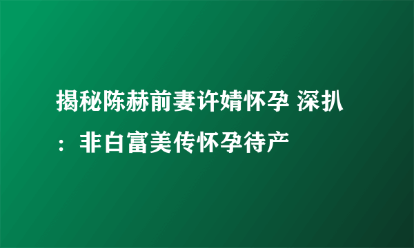 揭秘陈赫前妻许婧怀孕 深扒：非白富美传怀孕待产