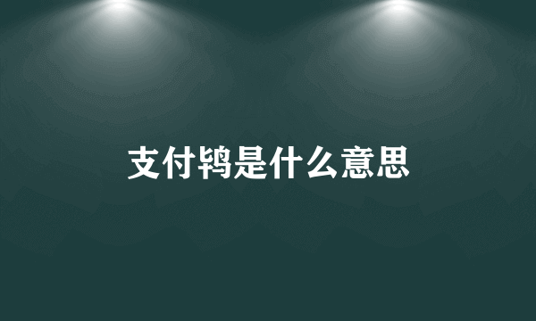 支付鸨是什么意思