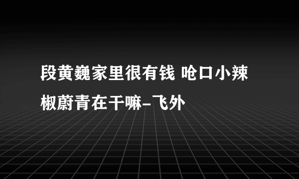 段黄巍家里很有钱 呛口小辣椒蔚青在干嘛-飞外