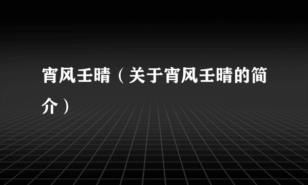 宵风壬晴（关于宵风壬晴的简介）