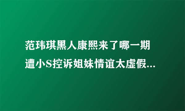 范玮琪黑人康熙来了哪一期 遭小S控诉姐妹情谊太虚假_飞外网