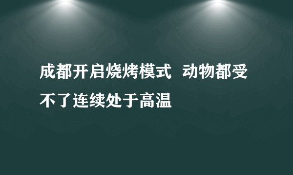 成都开启烧烤模式  动物都受不了连续处于高温