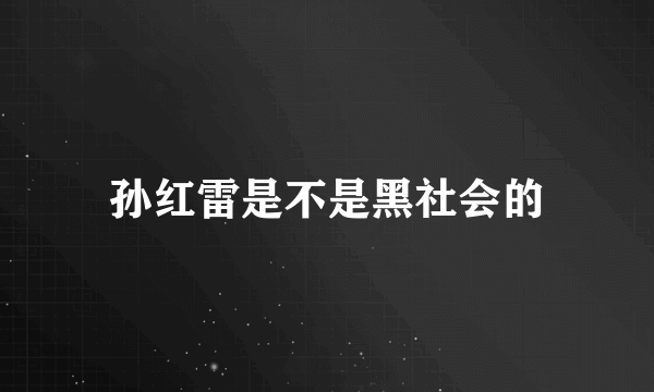 孙红雷是不是黑社会的