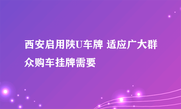 西安启用陕U车牌 适应广大群众购车挂牌需要