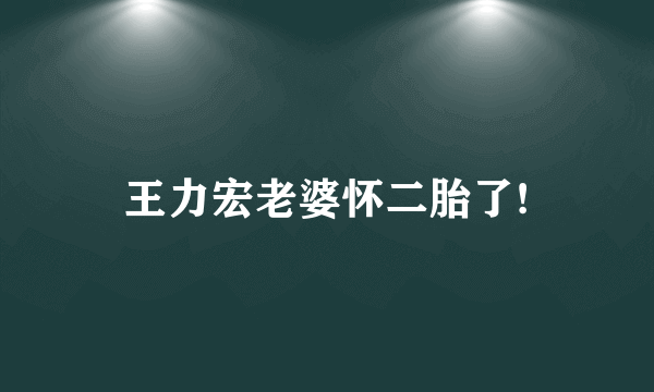 王力宏老婆怀二胎了!