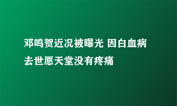 邓鸣贺近况被曝光 因白血病去世愿天堂没有疼痛