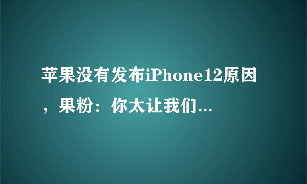 苹果没有发布iPhone12原因，果粉：你太让我们失望了！