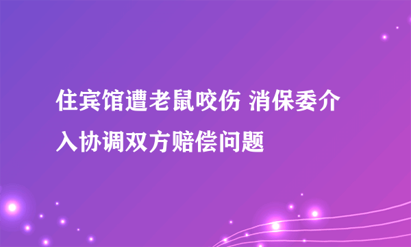 住宾馆遭老鼠咬伤 消保委介入协调双方赔偿问题