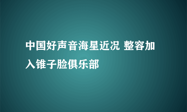 中国好声音海星近况 整容加入锥子脸俱乐部