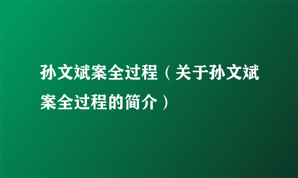 孙文斌案全过程（关于孙文斌案全过程的简介）