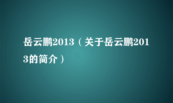 岳云鹏2013（关于岳云鹏2013的简介）