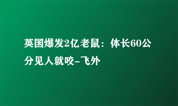 英国爆发2亿老鼠：体长60公分见人就咬-飞外