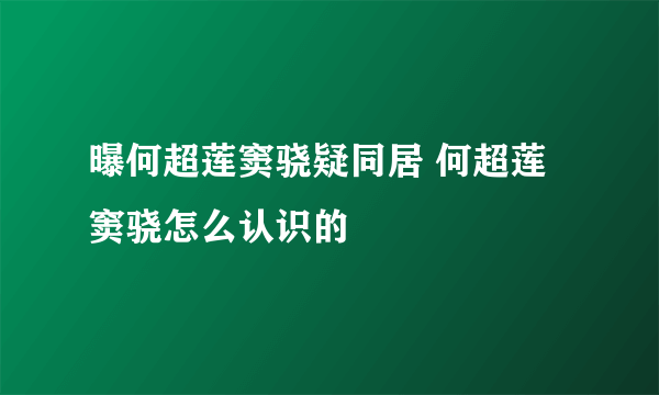 曝何超莲窦骁疑同居 何超莲窦骁怎么认识的