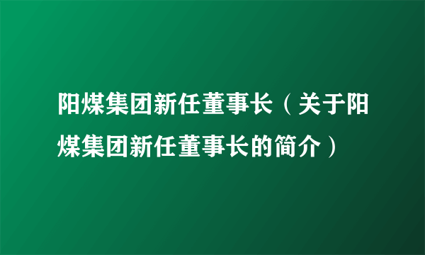 阳煤集团新任董事长（关于阳煤集团新任董事长的简介）