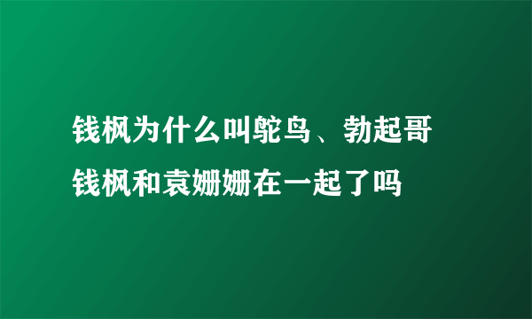 钱枫为什么叫鸵鸟、勃起哥 钱枫和袁姗姗在一起了吗