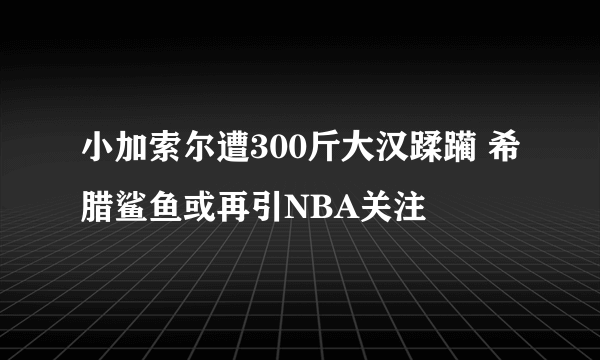 小加索尔遭300斤大汉蹂躏 希腊鲨鱼或再引NBA关注