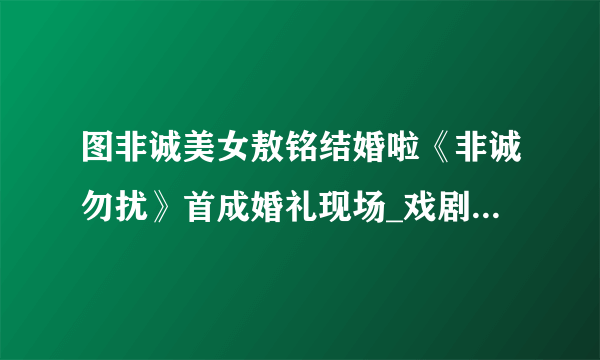 图非诚美女敖铭结婚啦《非诚勿扰》首成婚礼现场_戏剧-飞外网